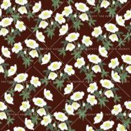 A seamless pattern with white Christmas rose flowers on a brown background. The detailed flowers with their soft petals and yellow stamens create an elegant and sophisticated feel